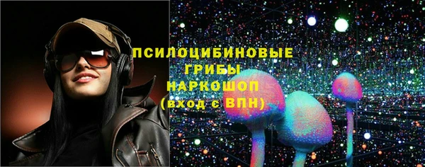 мет Медвежьегорск