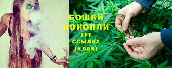 СК Медногорск