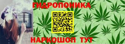 Альфа ПВП Заволжье