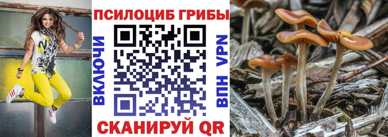 Галлюциногенные грибы MAGIC MUSHROOMS  Муравленко 