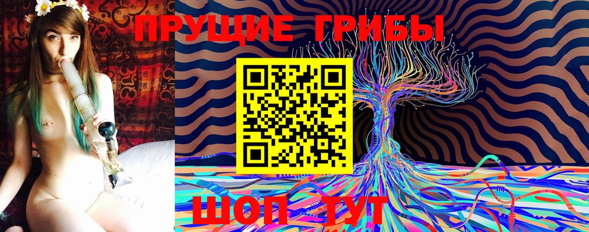 Псилоцибиновые грибы мицелий Муравленко