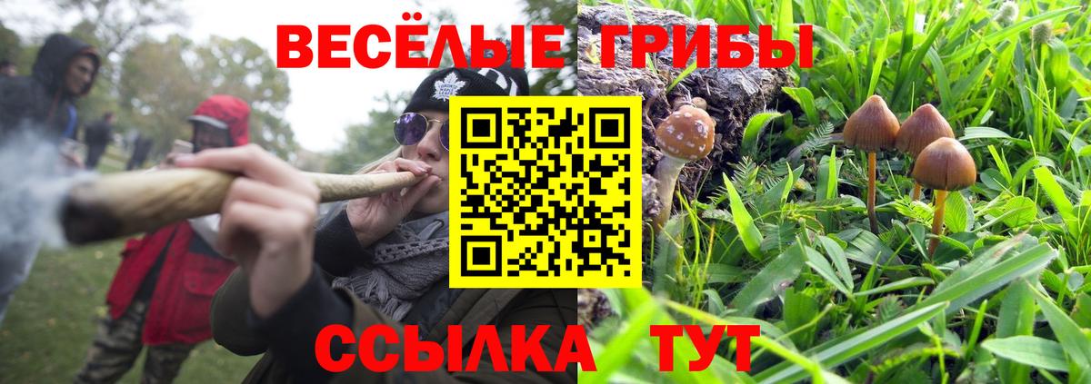 Галлюциногенные грибы Psilocybe  Муравленко 