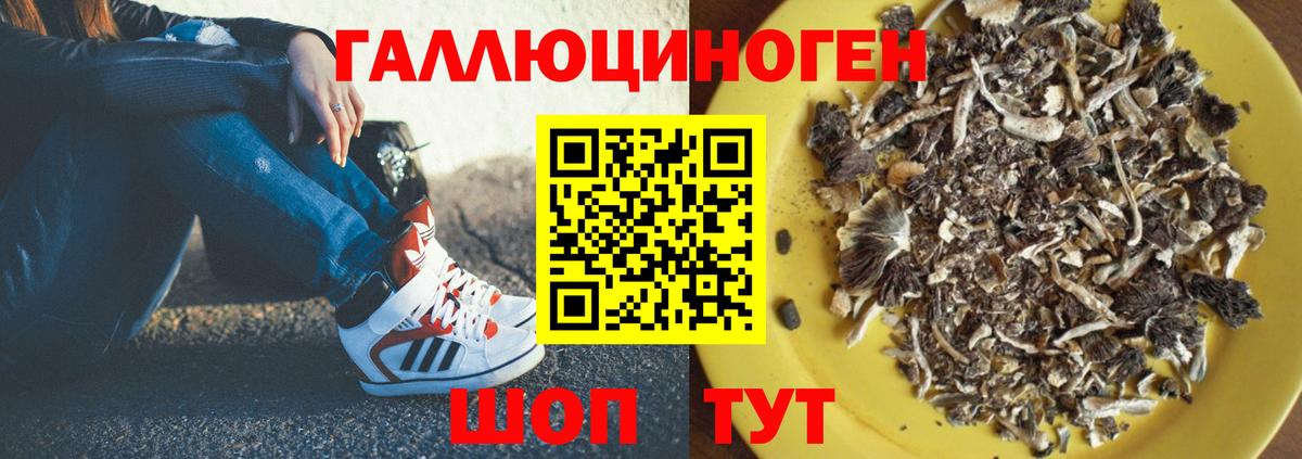 Муравленко  Галлюциногенные грибы Psilocybe  Вход с VPN 