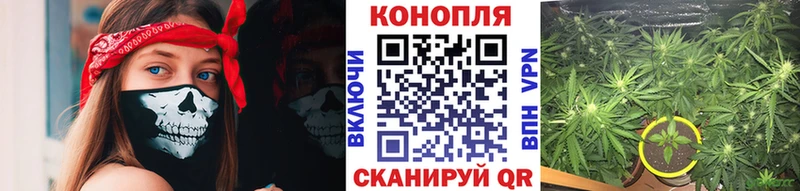 Бошки Шишки Ganja  даркнет состав  Муравленко  купить наркотик 